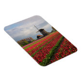Rote Tulpen und Windmühle Magnet (Rechte Seite)