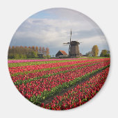 Rote Tulpen und Windmühle Magnet (Vorne)