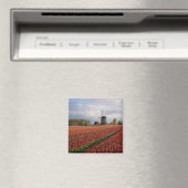 Rote Tulpen und Windmühle Magnet (In Situ (Geschirrspüler))
