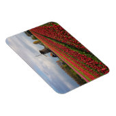 Rote Tulpen und Windmühle Magnet (Rechte Seite)