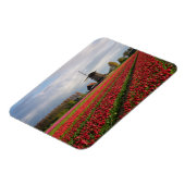 Rote Tulpen und Windmühle Magnet (Linke Seite)