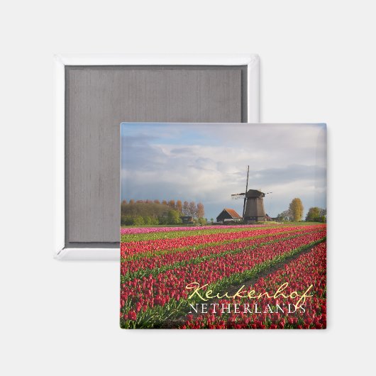 Rote Tulpen und Windmühle Magnet (Vorderseite/Rückseite)