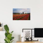 Rote Tulpen und Windmühle Poster (Heimbüro)