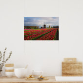 Rote Tulpen und Windmühle Poster (Küche)