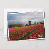Rote Tulpen und Windmühle Postkarte (Vorne/Hinten)