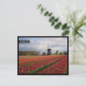 Rote Tulpen und Windmühle Postkarte (Stehend Vorderseite)