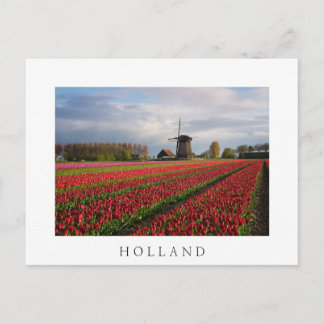 Rote Tulpen und Windmühle Postkarte