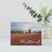 Rote Tulpen und Windmühle Postkarte (Stehend Vorderseite)