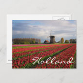Rote Tulpen und Windmühle Postkarte (Vorne/Hinten)