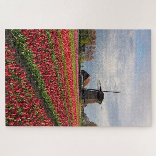 Rote Tulpen und Windmühle Puzzle (Horizontal)