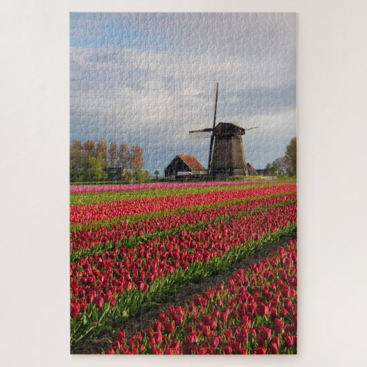 Rote Tulpen und Windmühle Puzzle (Vertikal)