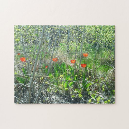 Rote Tulpenaspen-Baum-Puzzle anfechtendes | Puzzle (Horizontal)