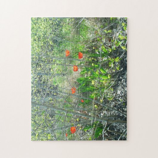 Rote Tulpenaspen-Baum-Puzzle anfechtendes | Puzzle (Vertikal)