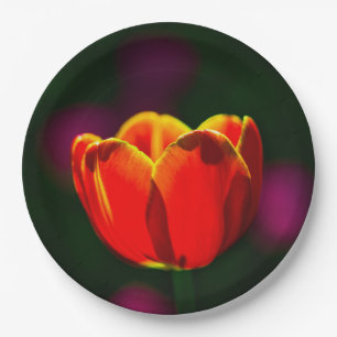 Rote Tulpenblume Pappteller