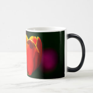 Rote Tulpenblume Verwandlungstasse