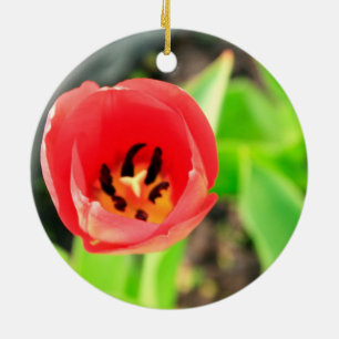 Rote Tulpenblütenfotografie Keramikornament