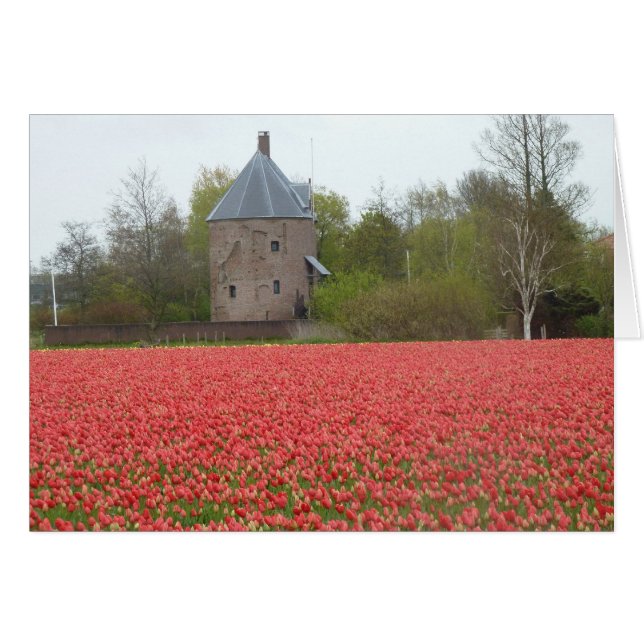 Rote Tulpenfelder und Kirche (Vorderseite (Horizontal))