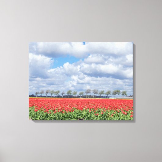 Rote Tulpenfelder zeigen Leinwand (Vorderseite)