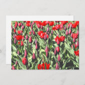 Rote Tulpenkarte (Vorne/Hinten)