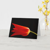 Rote Tulperaum-Grußkarte Karte (Gelbe Blume)