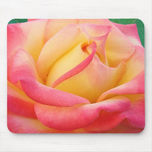 Rote u. gelbe Rose Mousepad (Vorne)