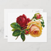 Rote u. gelbe Rosen Postkarte (Vorne/Hinten)
