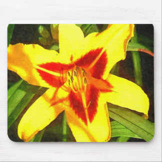 Rote u. gelbe Taglilie-Blume Mousepad