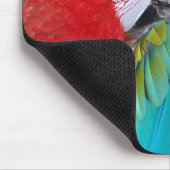 Rote und blaue Papageien drucken Mousepad (Ecke)