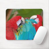 Rote und blaue Papageien drucken Mousepad (Mit Mouse)