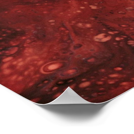 Rote und blaue Tapete Poster (Ecke)