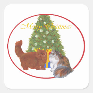 Rote und Calico Perserkatzen Weihnachten Quadratischer Aufkleber