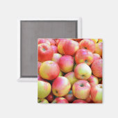 Rote und gelbe Äpfel drucken Magnet (Vorderseite/Rückseite)