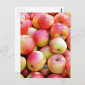 Rote und gelbe Äpfel, frisch Postkarte (Vorne/Hinten)