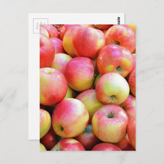 Rote und gelbe Äpfel, frisch Postkarte (Vorne/Hinten)