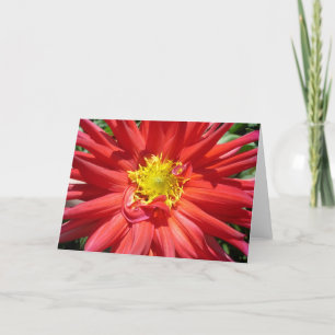 Rote und gelbe Blume Karte