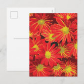 Rote und gelbe Blumen 1 Feiertagspostkarte (Vorne/Hinten)