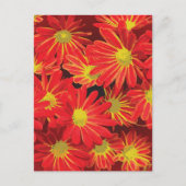 Rote und gelbe Blumen 1 Feiertagspostkarte (Vorderseite)