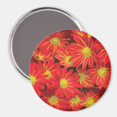 Rote und gelbe Blumen 1 Magnet (Vorderseite/Rückseite)