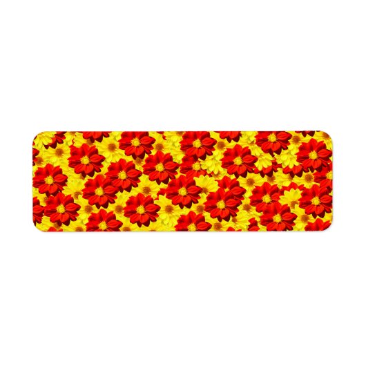 Rote und gelbe Dahlien-Blume (Vorne)