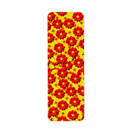 Rote und gelbe Dahlien-Blume (Vorne)