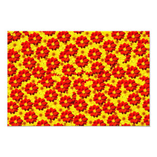 Rote und gelbe Dahlien-Blume Fotodruck