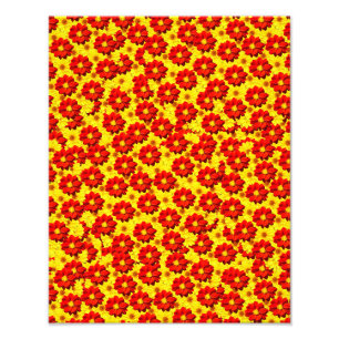 Rote und gelbe Dahlien-Blume Fotodruck
