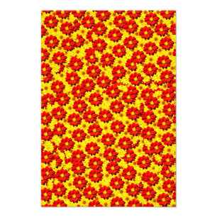 Rote und gelbe Dahlien-Blume Fotodruck