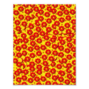 Rote und gelbe Dahlien-Blume Fotodruck