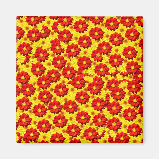 Rote und gelbe Dahlien-Blume Magnet (Vorne)