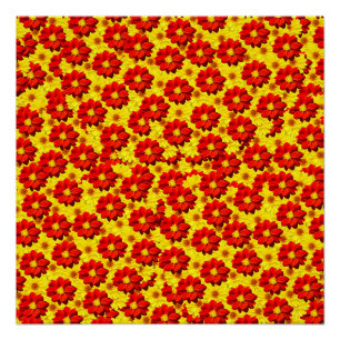 Rote und gelbe Dahlien-Blume Poster