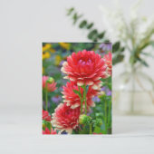 Rote und gelbe Dahlien-Blume Postkarte (Stehend Vorderseite)