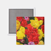 Rote und gelbe Frühlingtulis Magnet (Vorderseite/Rückseite)