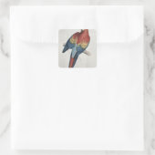 Rote und gelbe Maca Quadratischer Aufkleber (Tasche)