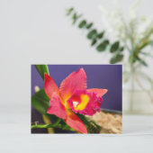 Rote und gelbe Orchidee Postkarte (Stehend Vorderseite)